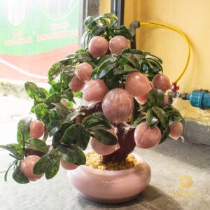 Cây Đào Tiên Thạch Anh Hồng 18 quả