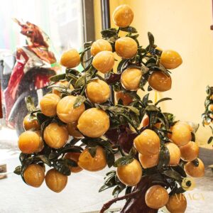 Cây Đào Tiên Ngọc Hoàng Long 38 quả 5 - araca.vn