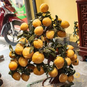 Cây Đào Tiên Ngọc Hoàng Long 38 quả 7 - araca.vn