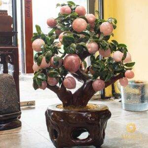 Cây Đào Tiên Thạch Anh Hồng 38 quả