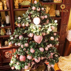 Cây Đào Tiên Thạch Anh Hồng 108 quả 5 - araca.vn