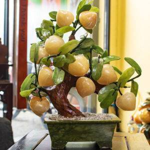 Cây Đào Tiên Ngọc Hoàng Long 18 quả