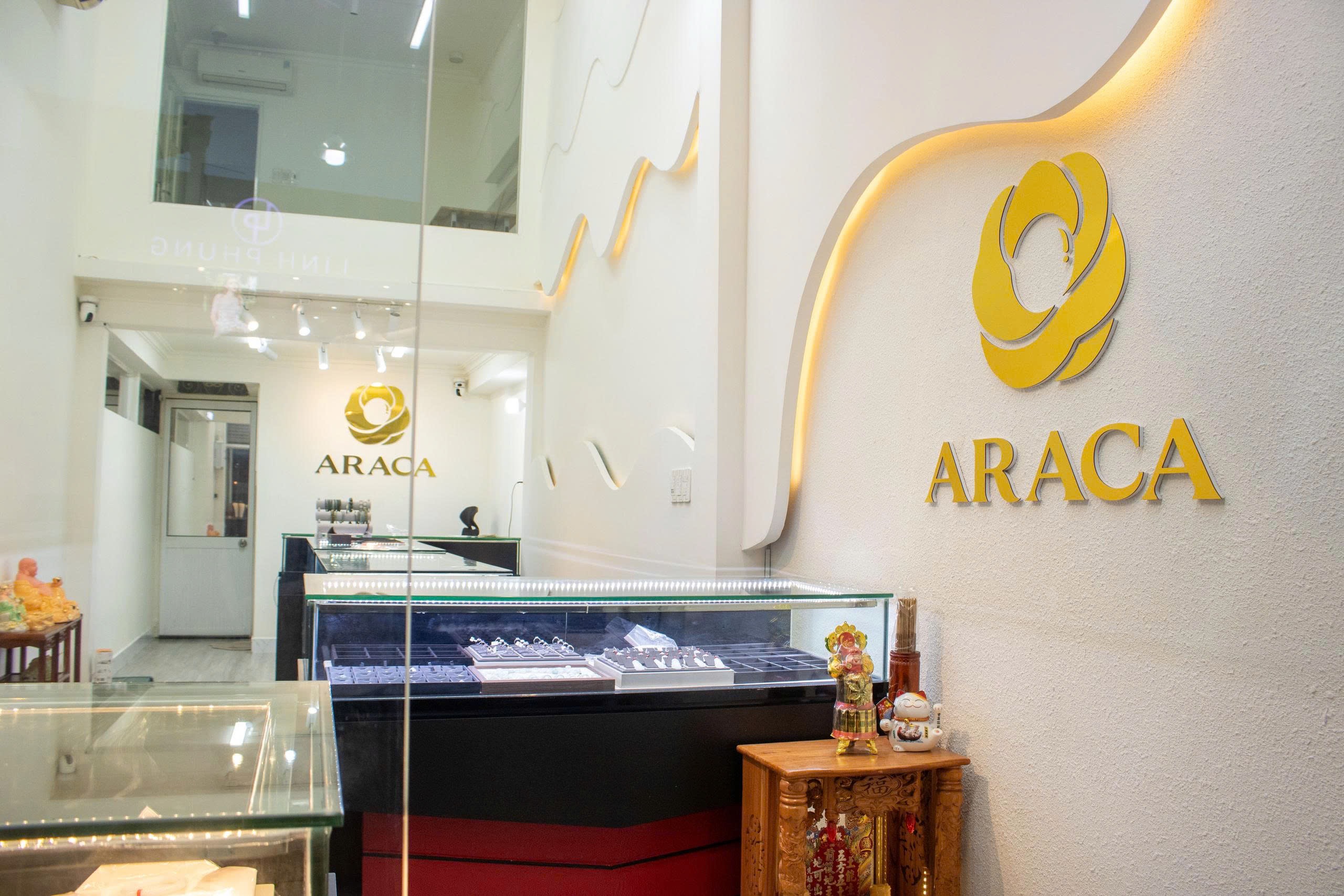 Giới thiệu 6 Giới thiệu 5 - araca.vn