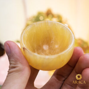 Bộ Ấm Chén Trà - Ngọc Hoàng Long 19 - araca.vn