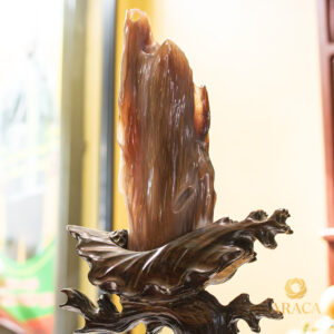 Trụ Gỗ Hóa Thạch - Gỗ hóa thạch 7 - araca.vn