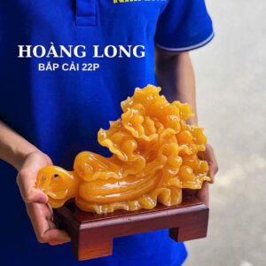 Bắp Cải Ngọc Hoàng Long 22Cm
