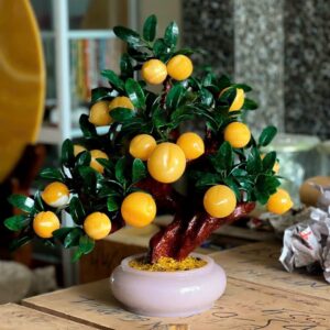 Cây Đào Tiên Ngọc Hoàng Long 18 Quả