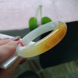 Vòng Ngọc Phỉ Thuý Type A Bạch Ngọc Kim Hoàng Phỉ NI 55 10 - araca.vn